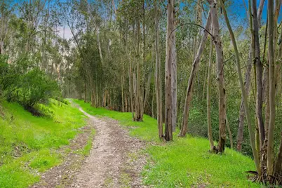  12294 Spruce Grove Pl, San Diego, CA 92131 - Photo 50