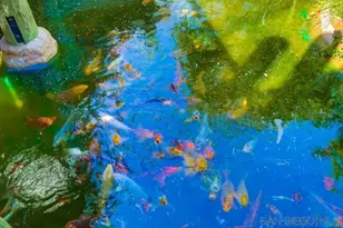 999 N Pacific St, Oceanside, CA 92054 - Photo 24