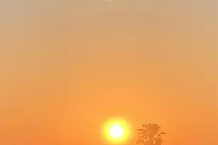 2140 Orinda Dr, Cardiff, CA 92007 - Photo 1