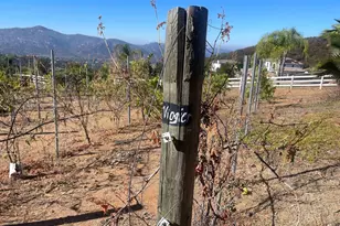 15068 Creek Hills Rd, El Cajon, CA 92021 - Photo 52