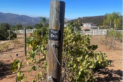  15068 Creek Hills Rd, El Cajon, CA 92021 - Photo 56