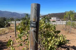 15068 Creek Hills Rd, El Cajon, CA 92021 - Photo 56