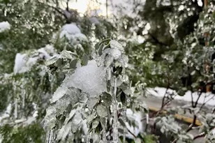 27720 Saunders Meadow Rd, Idyllwild, CA 92549 - Photo 58