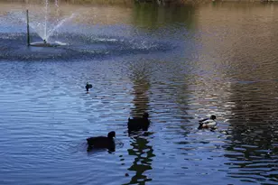 35109 Hwy 79, Warner Springs, CA 92086 - Photo 36