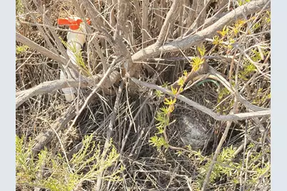  23833 Tecate Mission Rd, Tecate, CA 91980 - Photo 12