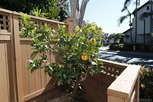 6306 Caminito Del Cervato, San Diego, CA 92111 - Photo 28