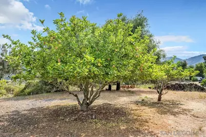  3453 Via Loma Vista, Escondido, CA 92029 - Photo 20