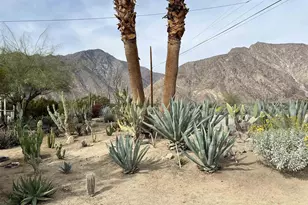 305 Velite Dr, Borrego Springs, CA 92004 - Photo 4