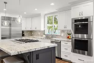 1441 E Taylor St, Vista, CA 92084 - Photo 48