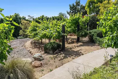  6565 Calle Reina, Rancho Santa Fe, CA 92067 - Photo 30