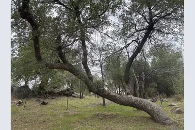  7317 Starlight Way, Julian, CA 92036 - Photo 18