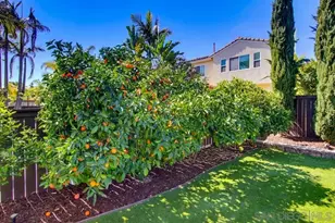 1442 Agate Creek Way, Chula Vista, CA 91915 - Photo 66