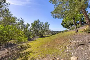 905 Loma Ct, El Cajon, CA 92020 - Photo 38