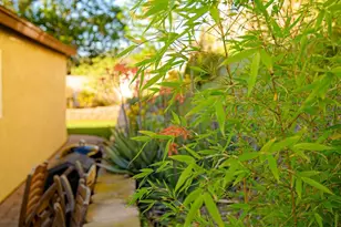 9566 Paseo Montril, San Diego, CA 92129 - Photo 34