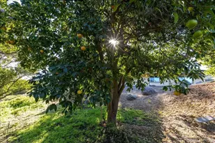 1109 Via La Cuesta, Escondido, CA 92029 - Photo 44