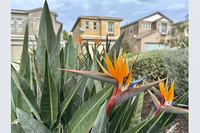  2076 Blue Oak Lane, Vista, CA 92084 - Photo 24