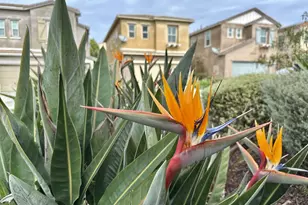 2076 Blue Oak Ln, Vista, CA 92084 - Photo 24