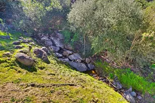 359 Galloway Valley Rd, Alpine, CA 91901 - Photo 44