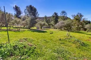 359 Galloway Valley Rd, Alpine, CA 91901 - Photo 48