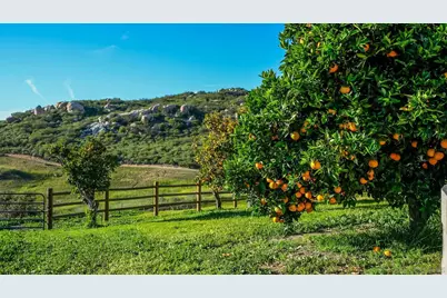  5930 Camino Baja Cerro, Fallbrook, CA 92028 - Photo 52