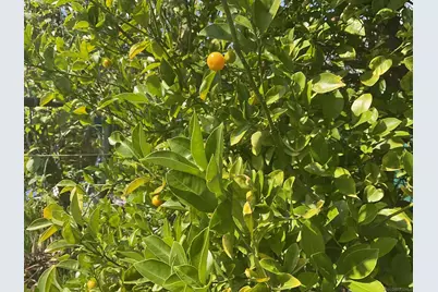  6197 Daisy Pl, San Diego, CA 92114 - Photo 8