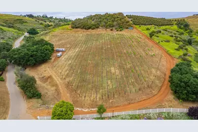  5320 Olive Hill Trl, Bonsall, CA 92003 - Photo 52