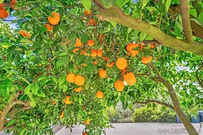  14930 Eastvale, Poway, CA 92064 - Photo 40