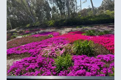  10884 Caminito Colorado, San Diego, CA 92131 - Photo 36