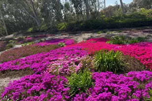 10884 Caminito Colorado, San Diego, CA 92131 - Photo 36