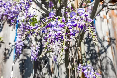  5177 Loma Verde, Oceanside, CA 92056 - Photo 24