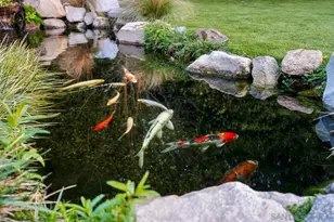 2261 Hercules, Los Angeles, CA 90046 - Photo 52