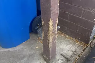 800 W 99th St, Los Angeles, CA 90044 - Photo 42