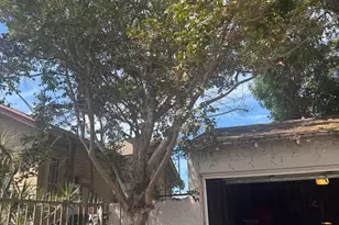 800 W 99th St, Los Angeles, CA 90044 - Photo 26