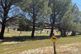 41083 Old Hwy 80, Boulevard, CA 91905 - Photo 24