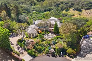 14104 Dalia Dr, Rancho Santa Fe, CA 92067 - Photo 50