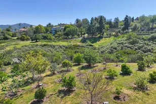 17941 Vista Lomas Dr, Poway, CA 92064 - Photo 56