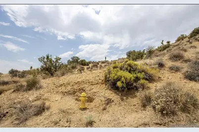  55705 Free Gold Drive #64, Yucca Valley, CA 92284 - Photo 8