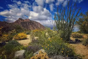 0 Palm Canyon Dr, Borrego Springs, CA 92004 - Photo 1