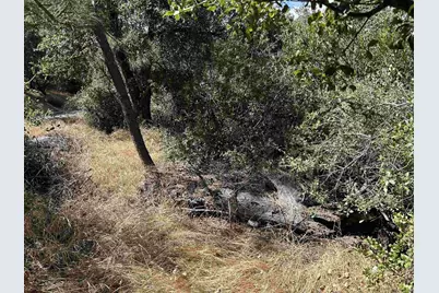  0 Whispering Pines Drive #186, Julian, CA 92036 - Photo 2