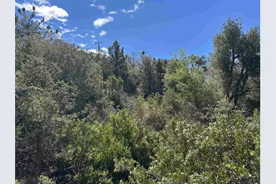  0 Whispering Pines Drive #186, Julian, CA 92036 - Photo 22