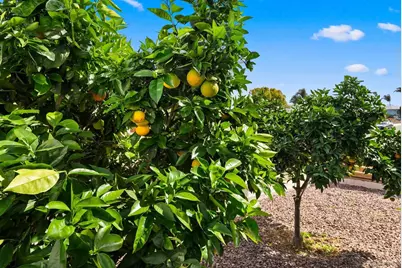  6844 Missy Ct, San Diego, CA 92115 - Photo 32