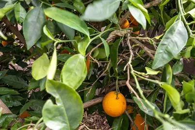  7957 Auberge Circle, San Diego, CA 92127 - Photo 24