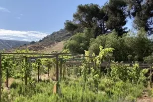 8209 Mesa, Santee, CA 92071 - Photo 60