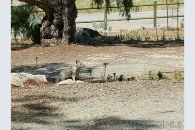  8209 Mesa, Santee, CA 92071 - Photo 54