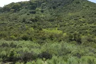 8209 Mesa, Santee, CA 92071 - Photo 50