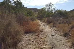 8209 Mesa, Santee, CA 92071 - Photo 40