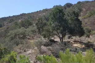 8209 Mesa, Santee, CA 92071 - Photo 44