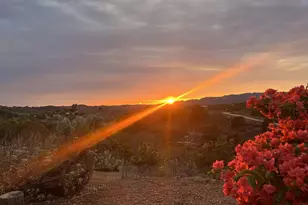 1282 Olive Ave, Fallbrook, CA 92028 - Photo 54