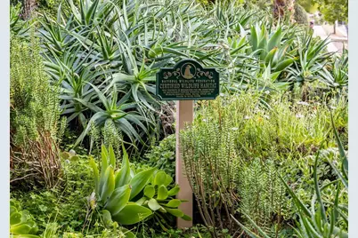  1014 E Bel Air Drive, Vista, CA 92084 - Photo 40