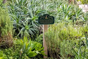 1014 E Bel Air Dr, Vista, CA 92084 - Photo 40